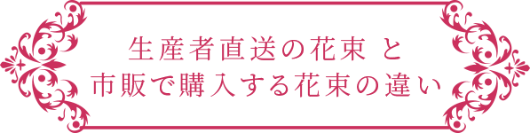 生産者直送の花束 と 市販で購入する花束の違い