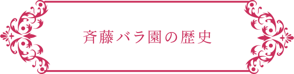 斉藤バラ園の歴史