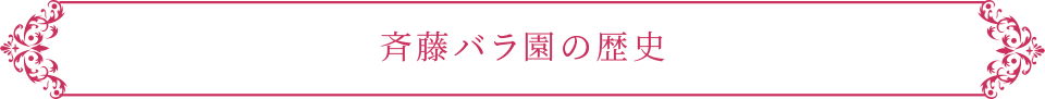 斉藤バラ園の歴史